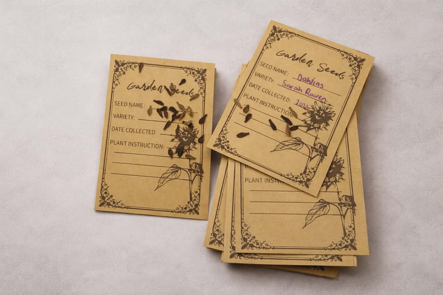 Seeds - packs of 25